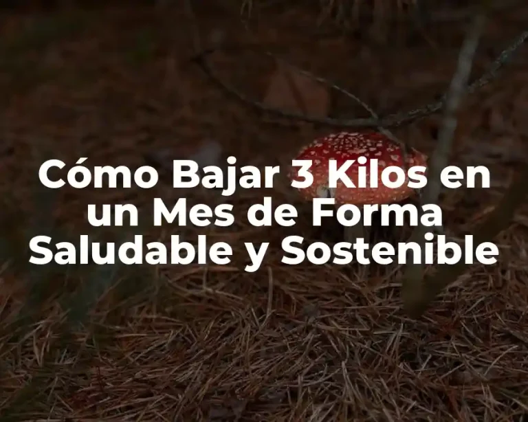Cómo Bajar 3 Kilos en un Mes de Forma Saludable y Sostenible