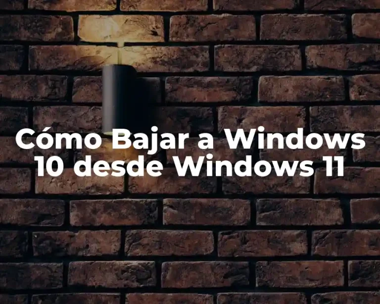 Cómo Bajar a Windows 10 desde Windows 11
