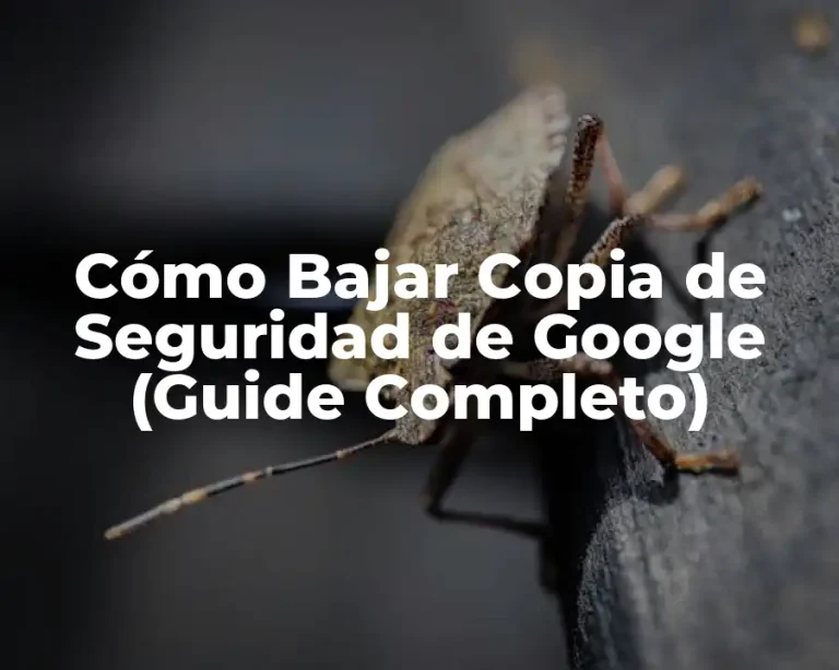 Cómo Bajar Copia de Seguridad de Google (Guide Completo)