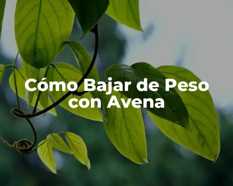 Cómo Bajar de Peso con Avena