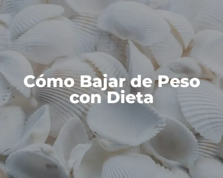 Cómo Bajar de Peso con Dieta
