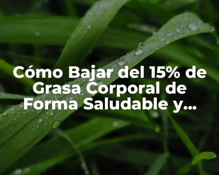 Cómo Bajar del 15% de Grasa Corporal de Forma Saludable y Sostenible