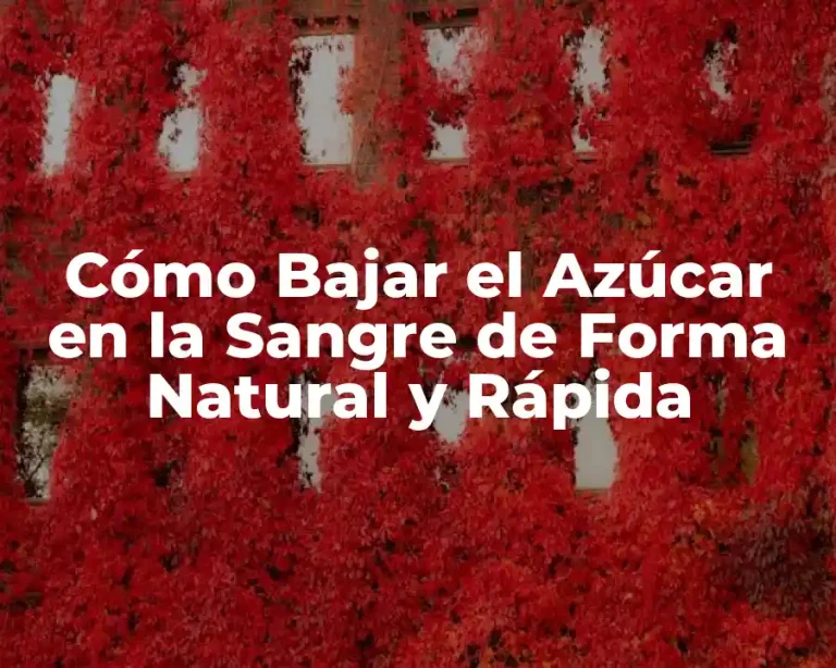 Cómo Bajar el Azúcar en la Sangre de Forma Natural y Rápida