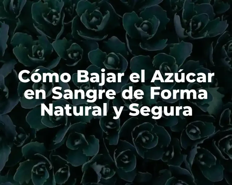 Cómo Bajar el Azúcar en Sangre de Forma Natural y Segura