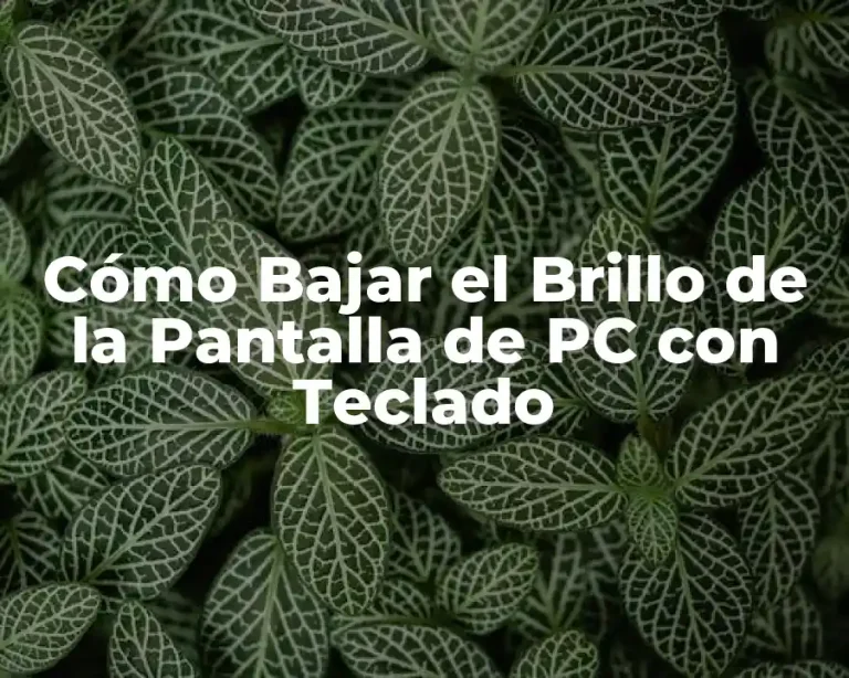 Cómo Bajar el Brillo de la Pantalla de PC con Teclado