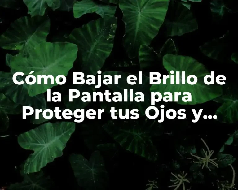 Cómo Bajar el Brillo de la Pantalla para Proteger tus Ojos y Ahorrar Energía