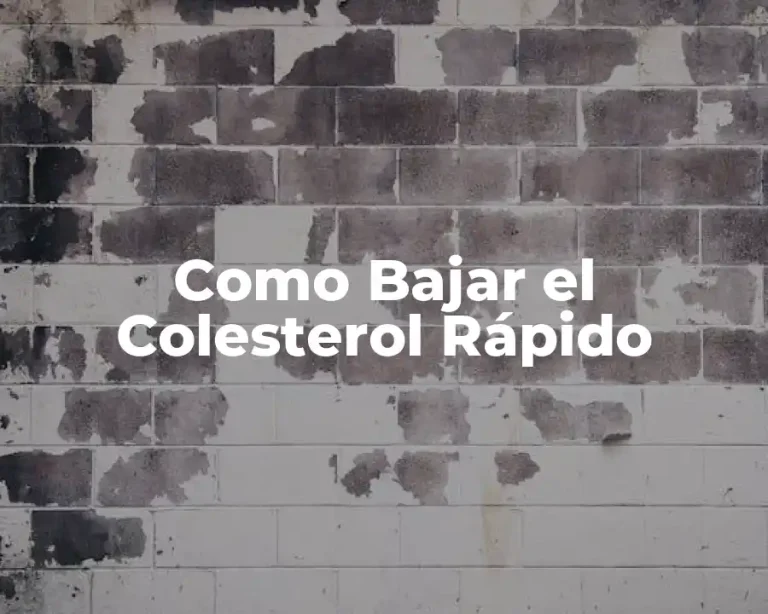 Como Bajar el Colesterol Rápido