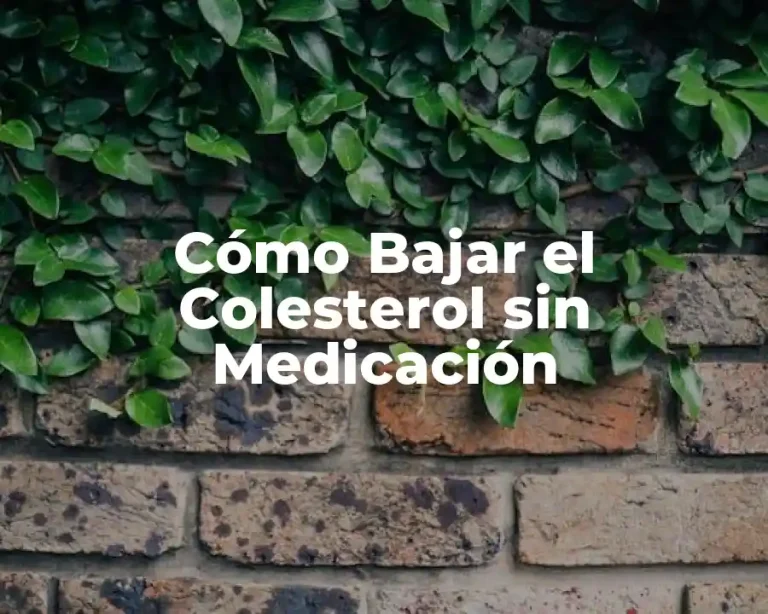 Cómo Bajar el Colesterol sin Medicación