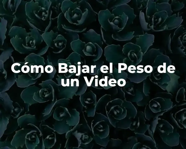 Cómo Bajar el Peso de un Video