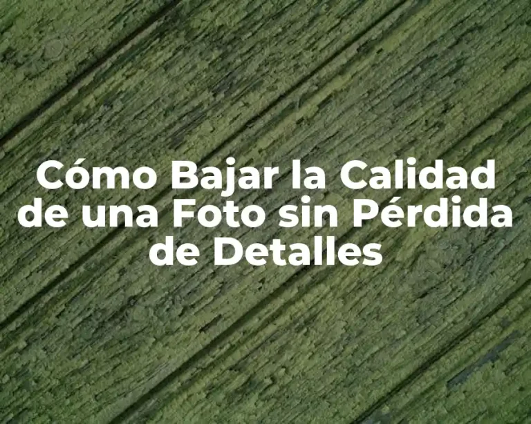 Cómo Bajar la Calidad de una Foto sin Pérdida de Detalles