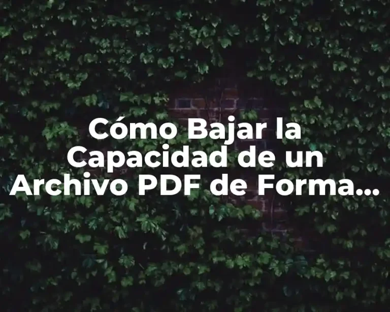 Cómo Bajar la Capacidad de un Archivo PDF de Forma Segura y Eficiente