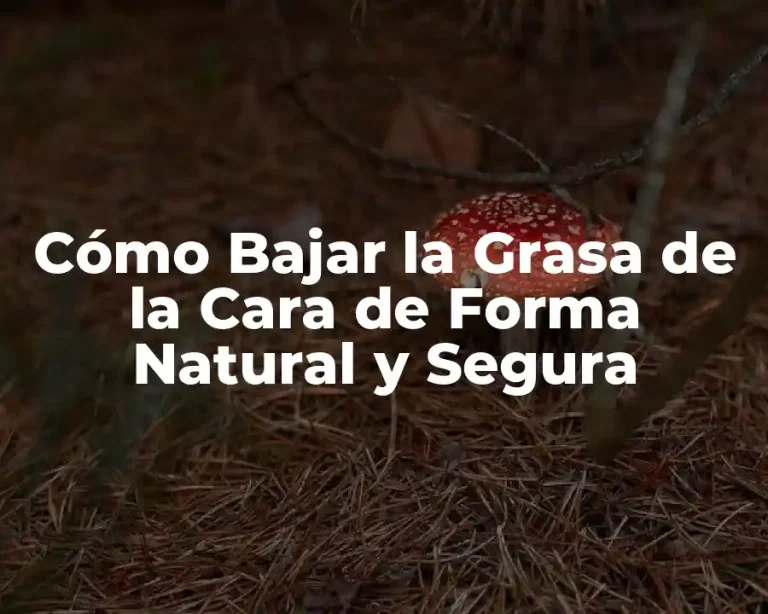 Cómo Bajar la Grasa de la Cara de Forma Natural y Segura