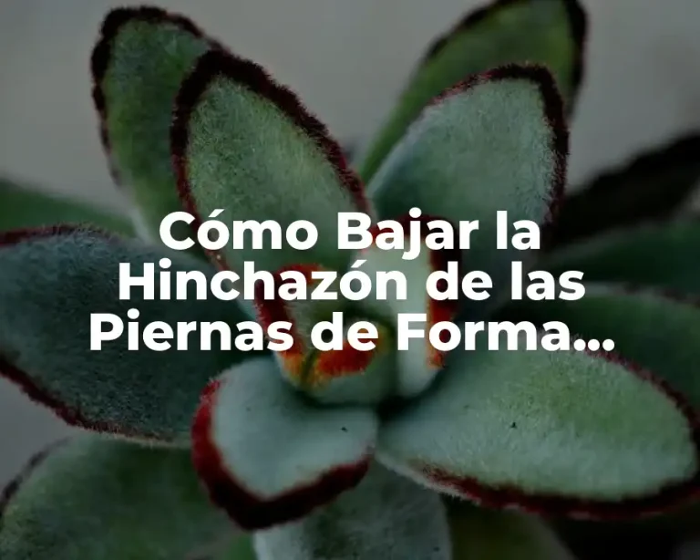 Cómo Bajar la Hinchazón de las Piernas de Forma Natural y Efectiva