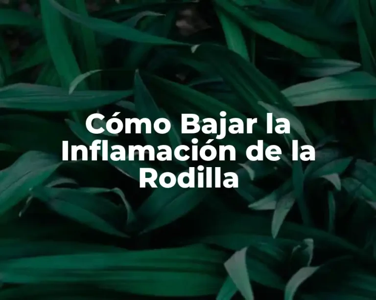 Cómo Bajar la Inflamación de la Rodilla