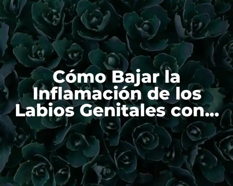 Cómo Bajar la Inflamación de los Labios Genitales con Medicamentos