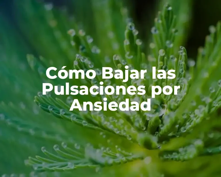 Cómo Bajar las Pulsaciones por Ansiedad
