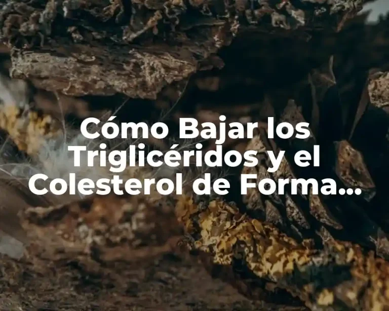 Cómo Bajar los Triglicéridos y el Colesterol de Forma Natural