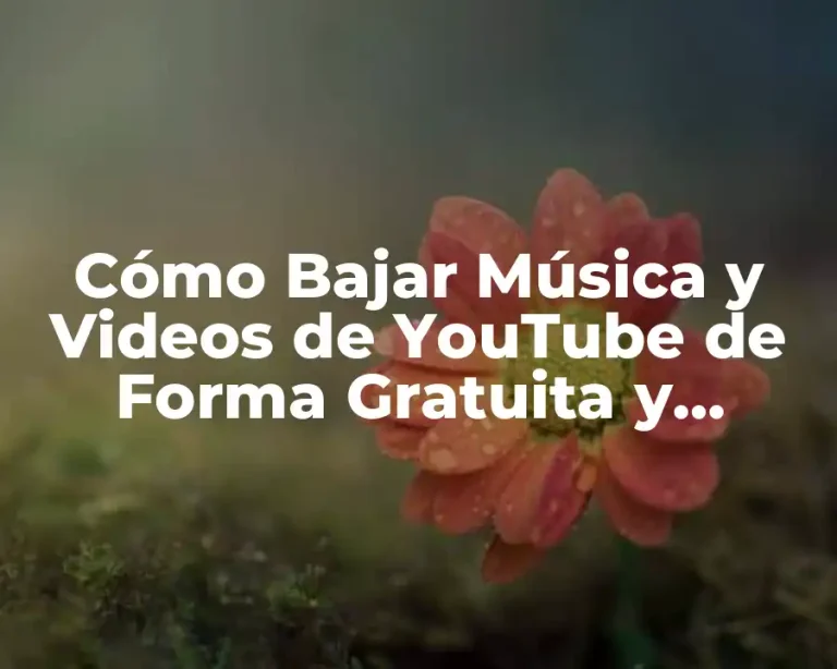 Cómo Bajar Música y Videos de YouTube de Forma Gratuita y Segura