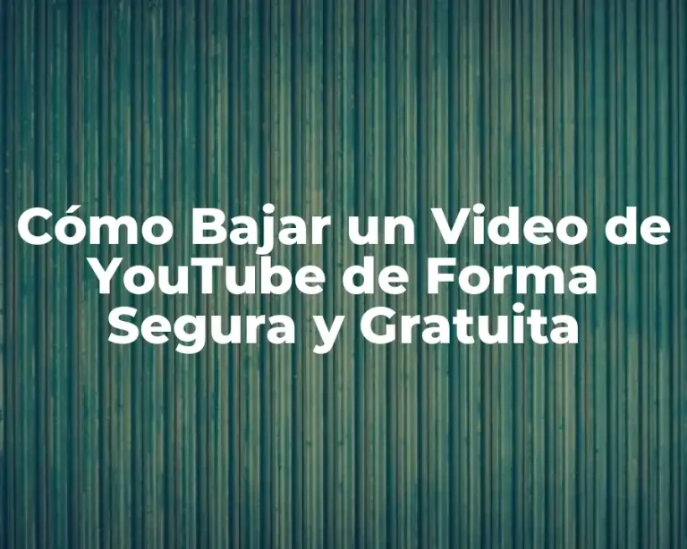 Cómo Bajar un Video de YouTube de Forma Segura y Gratuita