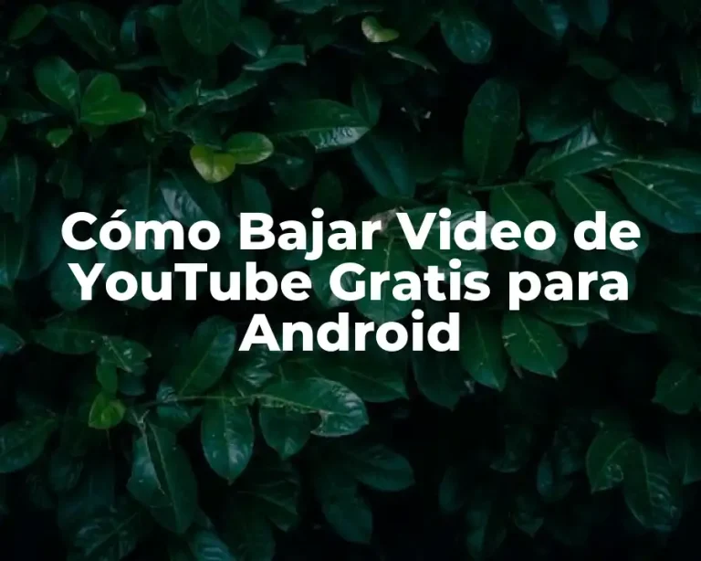Cómo Bajar Video de YouTube Gratis para Android