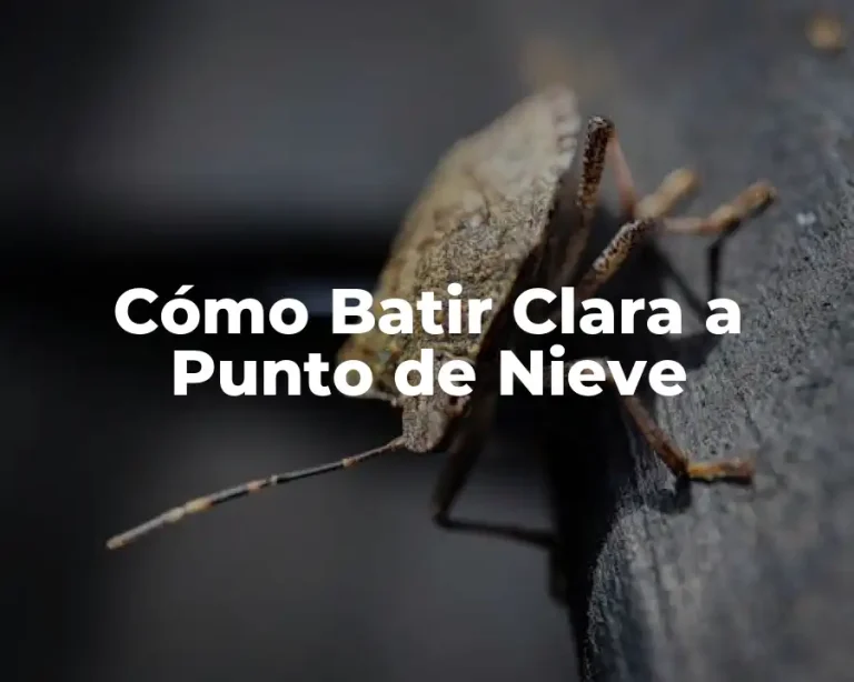 Cómo Batir Clara a Punto de Nieve