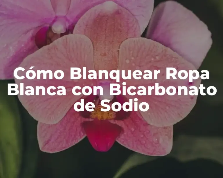 Cómo Blanquear Ropa Blanca con Bicarbonato de Sodio