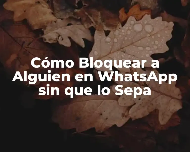 Cómo Bloquear a Alguien en WhatsApp sin que lo Sepa