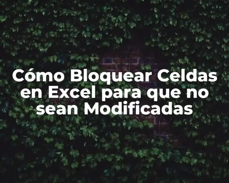 Cómo Bloquear Celdas en Excel para que no sean Modificadas