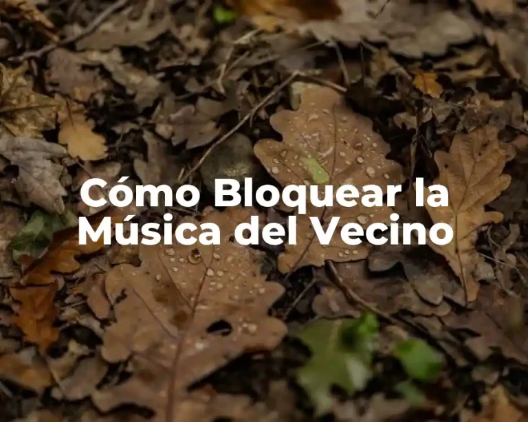 Cómo Bloquear la Música del Vecino