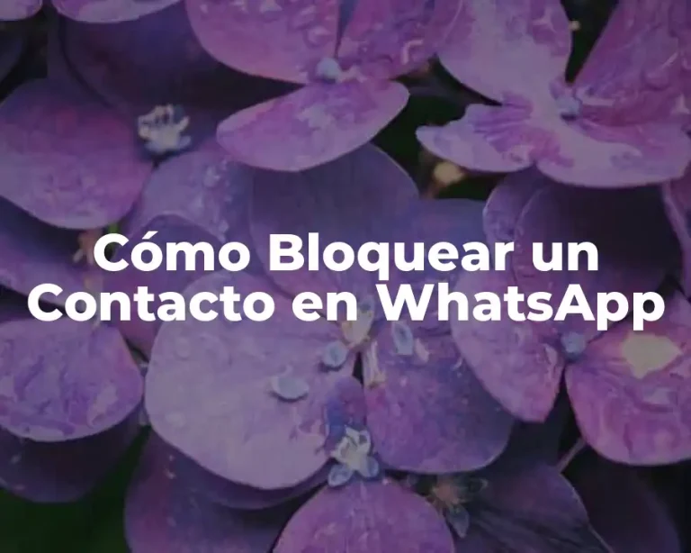 Cómo Bloquear un Contacto en WhatsApp