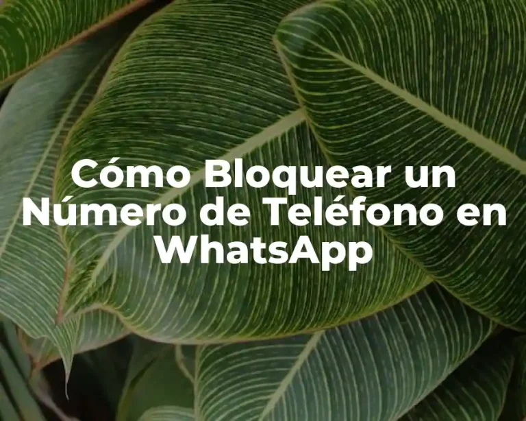 Cómo Bloquear un Número de Teléfono en WhatsApp