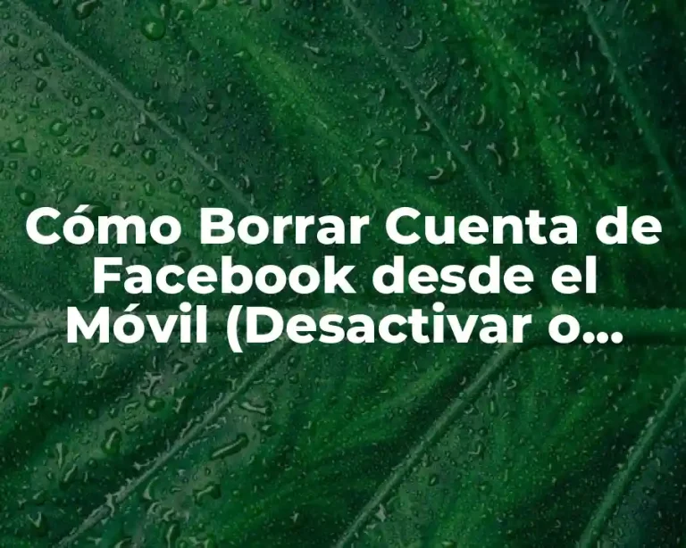 Cómo Borrar Cuenta de Facebook desde el Móvil (Desactivar o Eliminar)