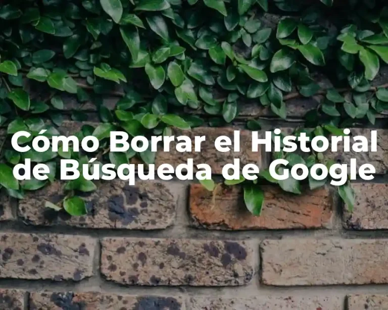 Cómo Borrar el Historial de Búsqueda de Google