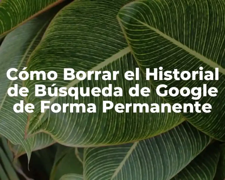 Cómo Borrar el Historial de Búsqueda de Google de Forma Permanente