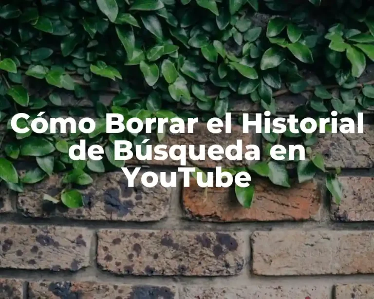 Cómo Borrar el Historial de Búsqueda en YouTube