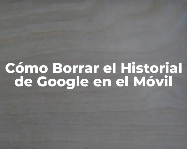 Cómo Borrar el Historial de Google en el Móvil