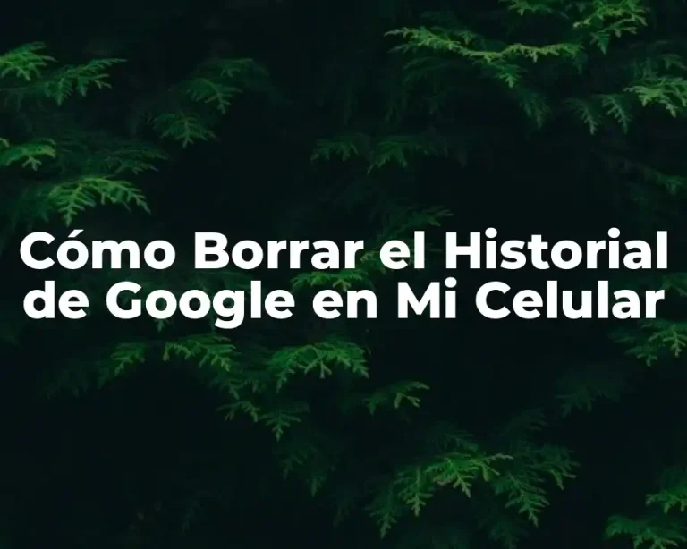 Cómo Borrar el Historial de Google en Mi Celular