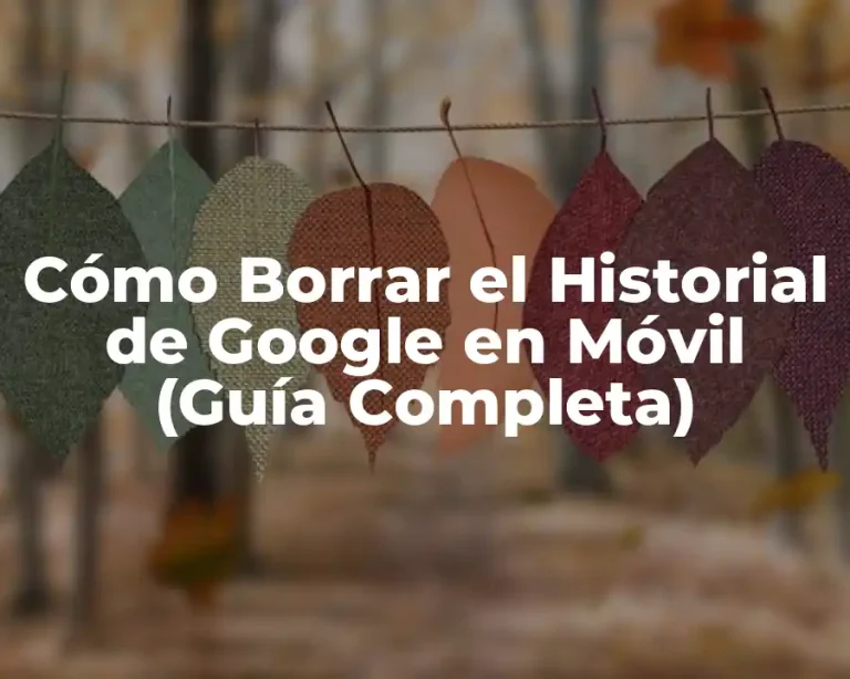Cómo Borrar el Historial de Google en Móvil (Guía Completa)
