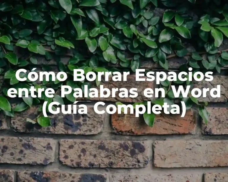 Cómo Borrar Espacios entre Palabras en Word (Guía Completa)