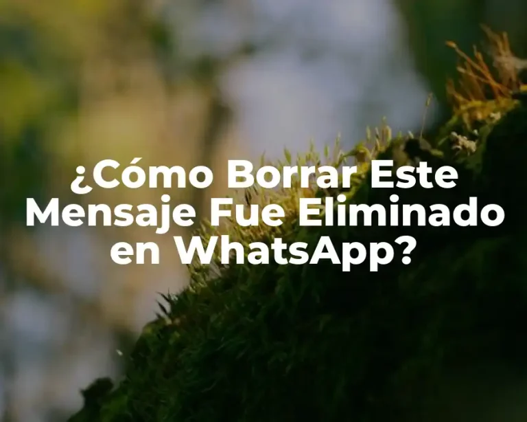 ¿Cómo Borrar Este Mensaje Fue Eliminado en WhatsApp?