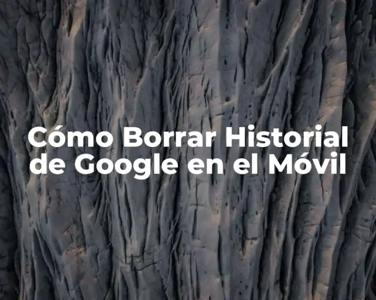 Cómo Borrar Historial de Google en el Móvil