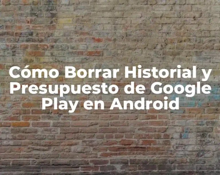 Cómo Borrar Historial y Presupuesto de Google Play en Android