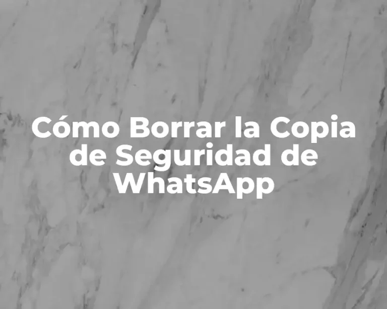 Cómo Borrar la Copia de Seguridad de WhatsApp