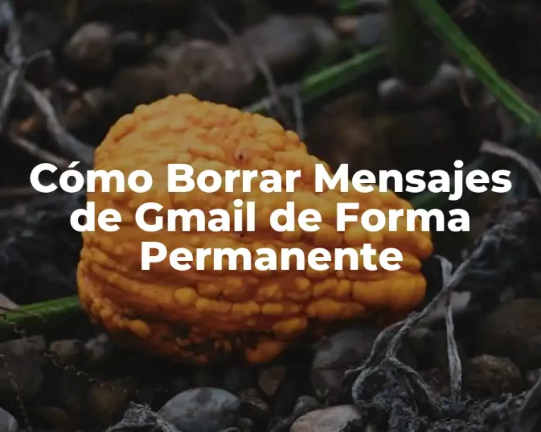 Cómo Borrar Mensajes de Gmail de Forma Permanente