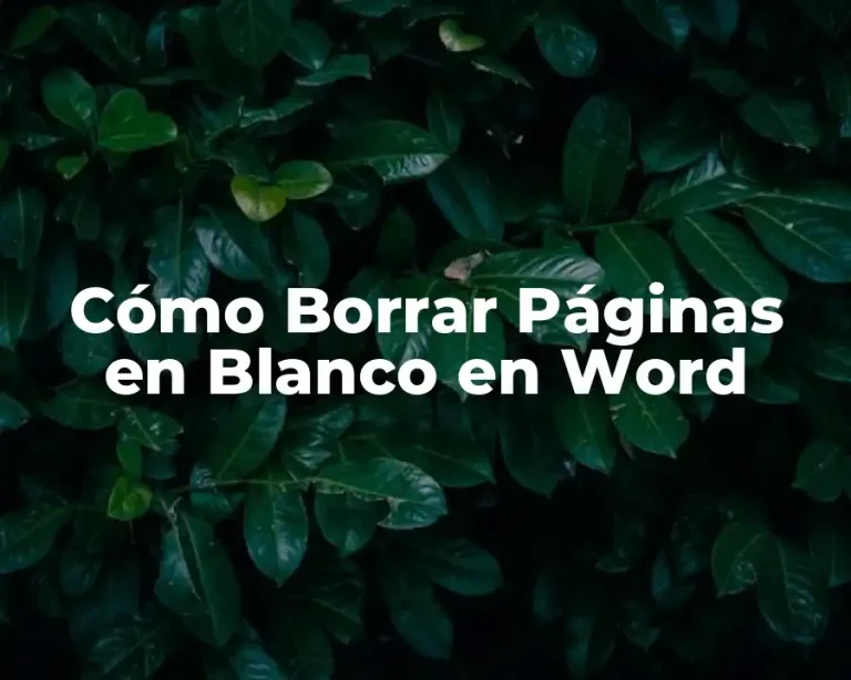 Cómo Borrar Páginas en Blanco en Word