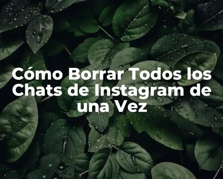 Cómo Borrar Todos los Chats de Instagram de una Vez