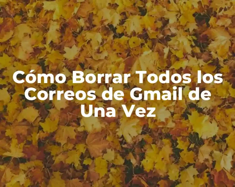 Cómo Borrar Todos los Correos de Gmail de Una Vez