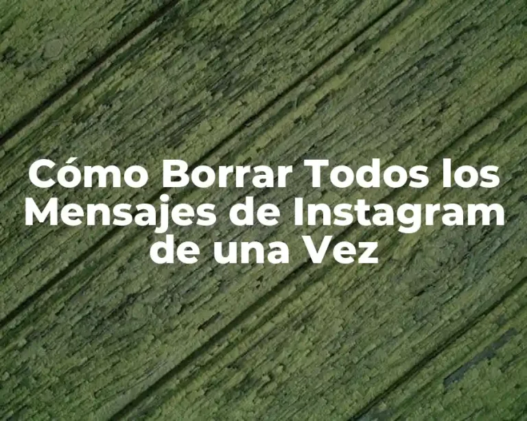 Cómo Borrar Todos los Mensajes de Instagram de una Vez