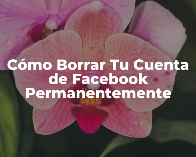 Cómo Borrar Tu Cuenta de Facebook Permanentemente