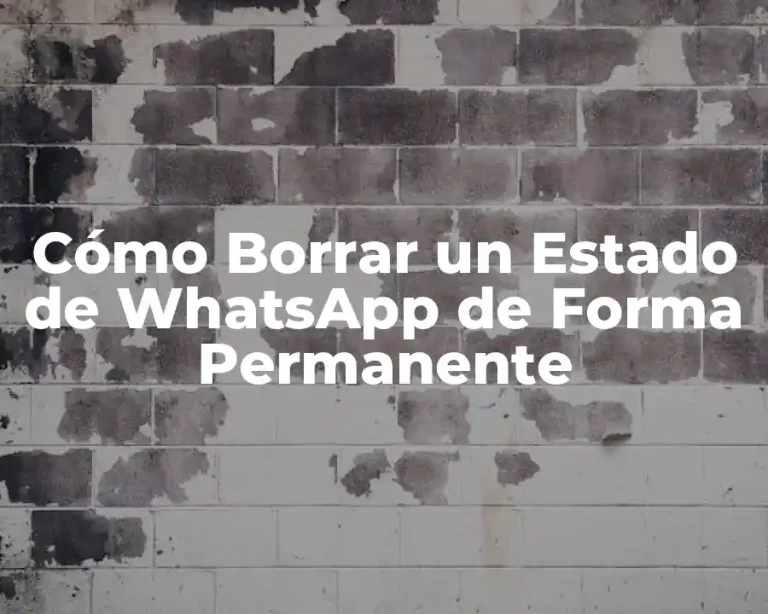 Cómo Borrar un Estado de WhatsApp de Forma Permanente